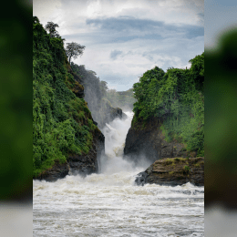 Murchison Falls image