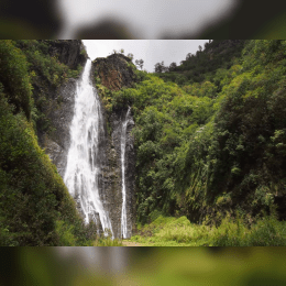 Manawaiopuna Falls  image