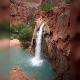 Havasu Falls image