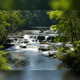 Aysgarth Falls image