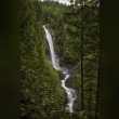 Wallace Falls Reviews | RateItAll