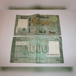 Lebanese Pound image