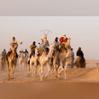 Hassi Messaoud Oil Field Reviews | RateItAll