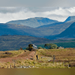 West Highland Line Reviews | RateItAll