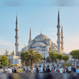 The Blue Mosque  image