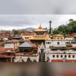 Pashupatinath Temple Reviews | RateItAll