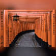 Fushimi Inari Taisha Reviews | RateItAll