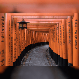 Fushimi Inari Taisha image