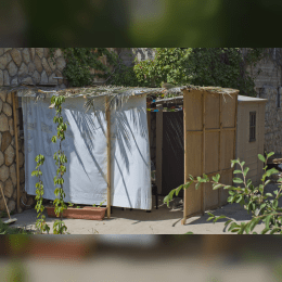 Sukkot image