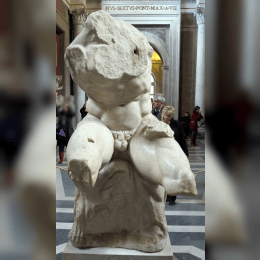 The Belvedere Torso image
