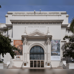 The San Diego Natural History Museum image