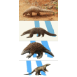 Pangolin Reviews | RateItAll