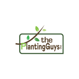 The Planting Guys image