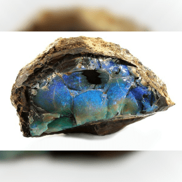 Black Opal image