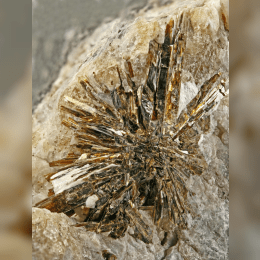 Astrophyllite image