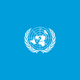 United Nations image