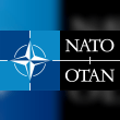 North Atlantic Treaty Org. Reviews | RateItAll