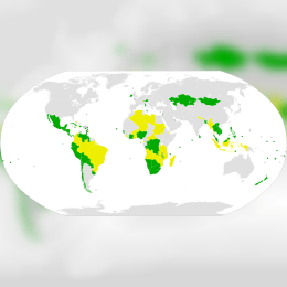 Treaty on the Prohibition of Nuclear Weapons image