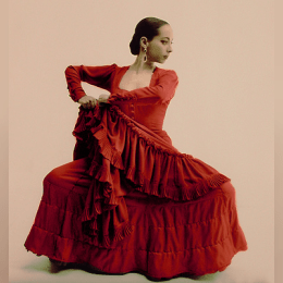 Flamenco image