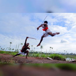 Kalaripayattu image