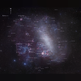 Large Magellanic Cloud image