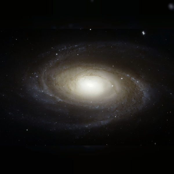 Bode's Galaxy image