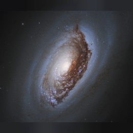 Black Eye Galaxy image