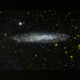 NGC 3109 image