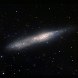 NGC 55 image