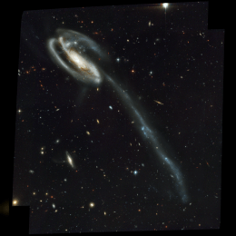 Tadpole Galaxy image