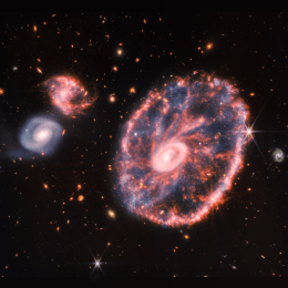 Cartwheel Galaxy image