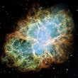 Crab Nebula Reviews | RateItAll