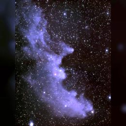 Witch Head Nebula image