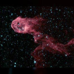 Elephant's Trunk Nebula image