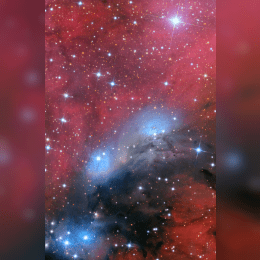 NGC 6914 (Bear Claw Nebula) image