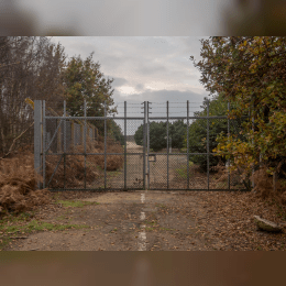 Rendlesham Forest incident image