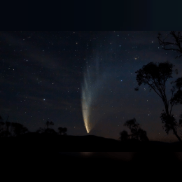 Comet C/2006 P1 (McNaught) image