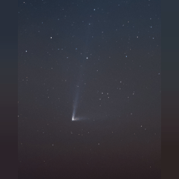 Comet C/2014 Q1 (PanSTARRS) image
