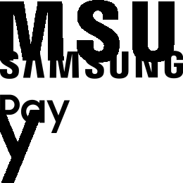 Samsung Pay image