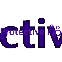 Protective Life Corporation image