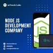 Hire Dedicated Node Js Developer In Hyderabad Reviews | RateItAll