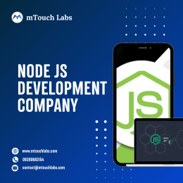 Hire Dedicated Node Js Developer In Hyderabad image