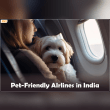 4 Pet Friendly Airlines in India Reviews | RateItAll