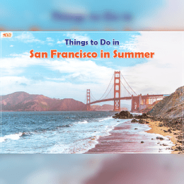 Explore Best Things to Do in San Francisco This Summer image