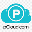 pCloud (BackupBliss storage option) Reviews | RateItAll