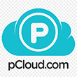 pCloud (BackupBliss storage option) image