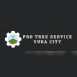 Protree Service Yubacity Reviews | RateItAll