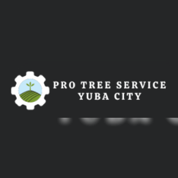 Protree Service Yubacity image