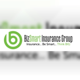 BizSmart Business Insurance for Contractors image