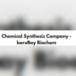 Chemical Synthesis Company KareBay Biochem Reviews | RateItAll